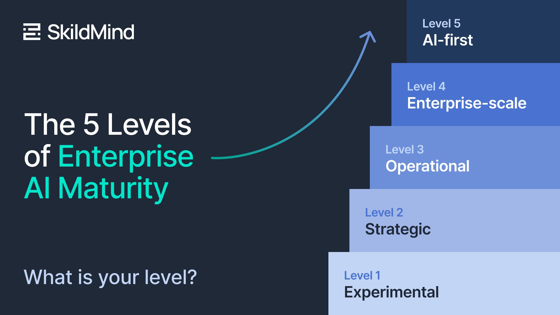 The 5 Levels of Enterprise AI Maturity - SkildMind Framework